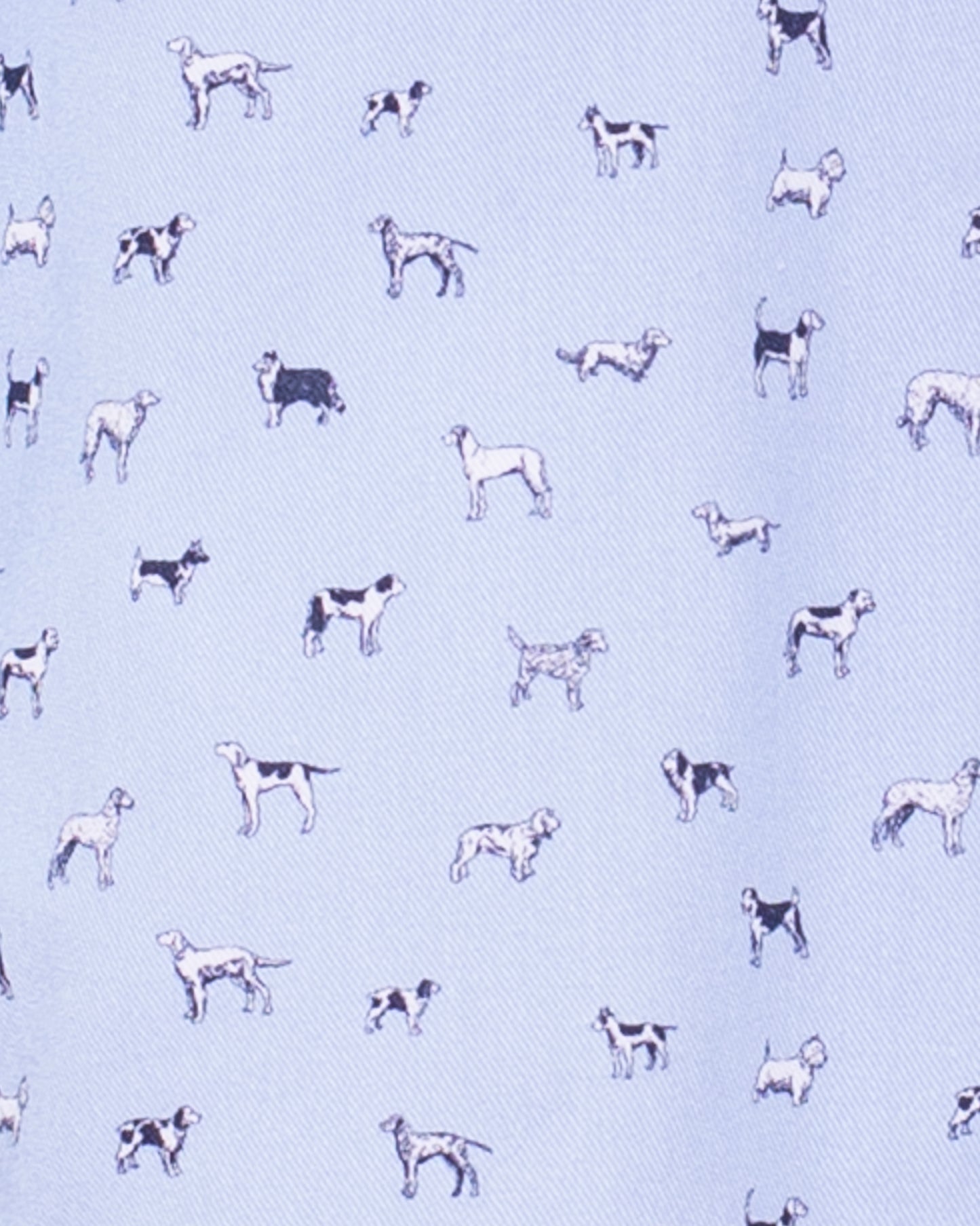 Bernard Liberty Man's Best Friend Blue Shirt - Shirt