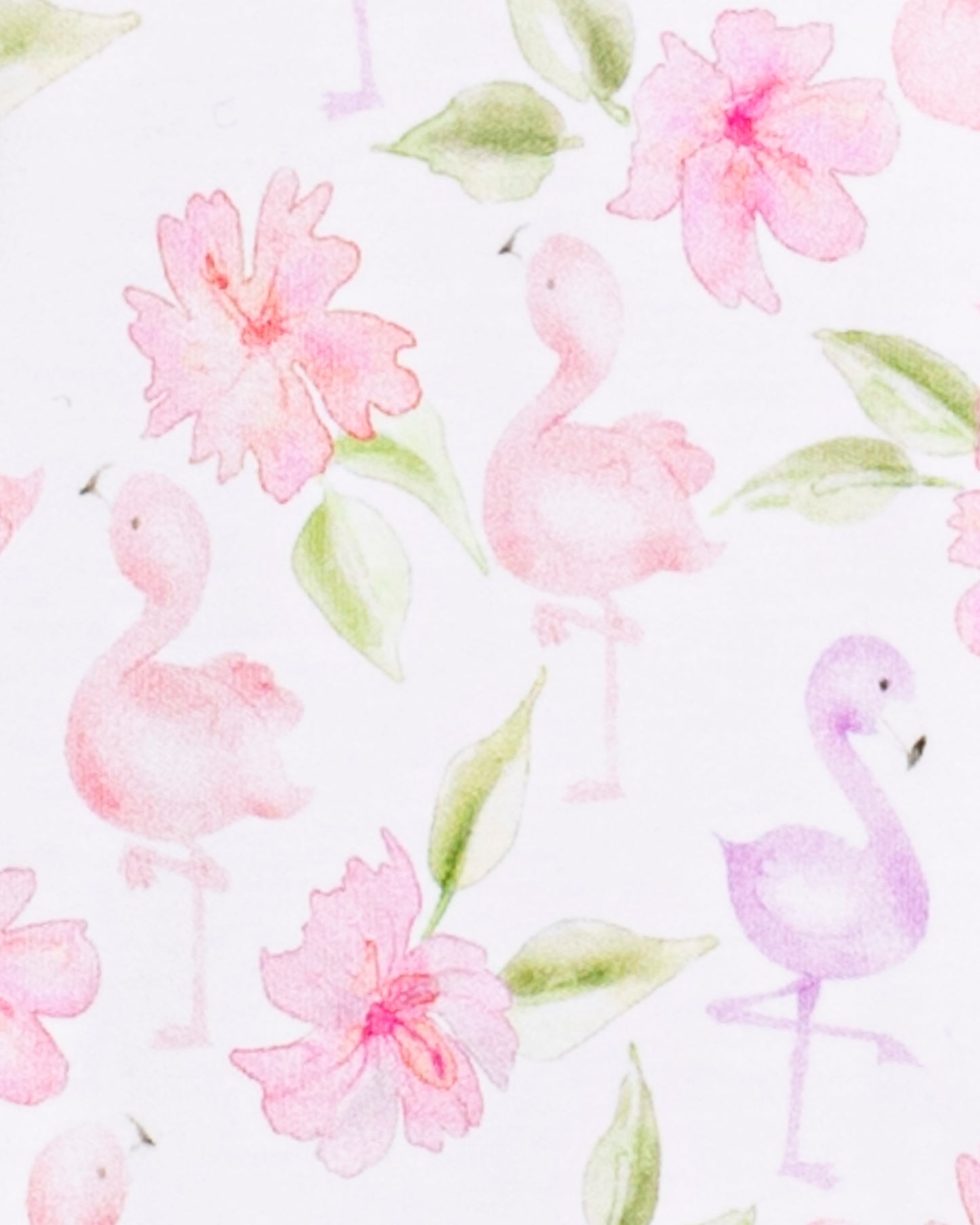 Pima Flamingos Stretchie - Stretchie