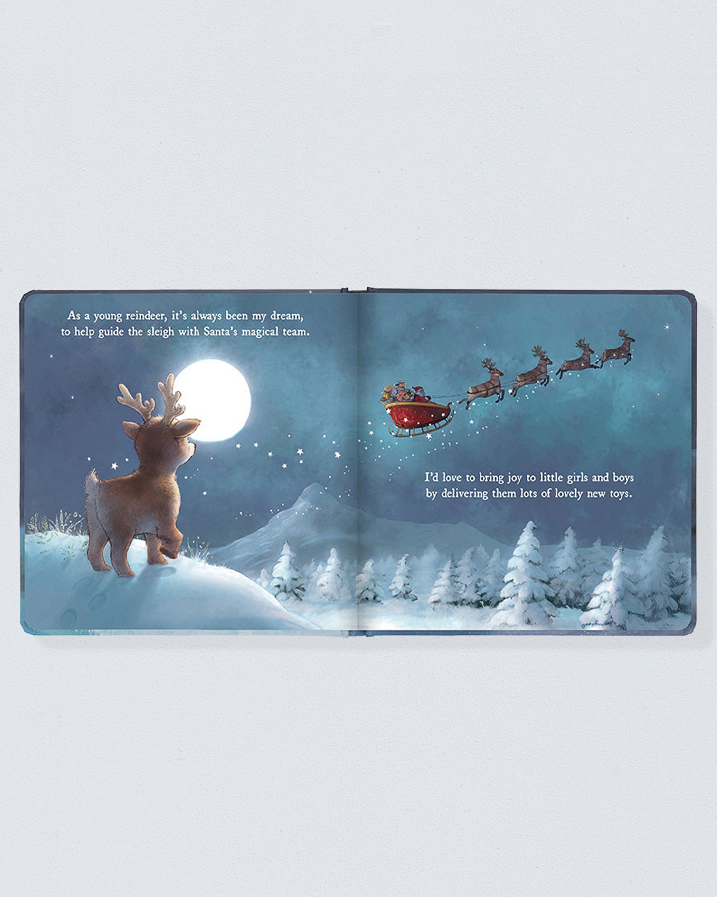 Merry Mitzi Reindeer Christmas Book - Book
