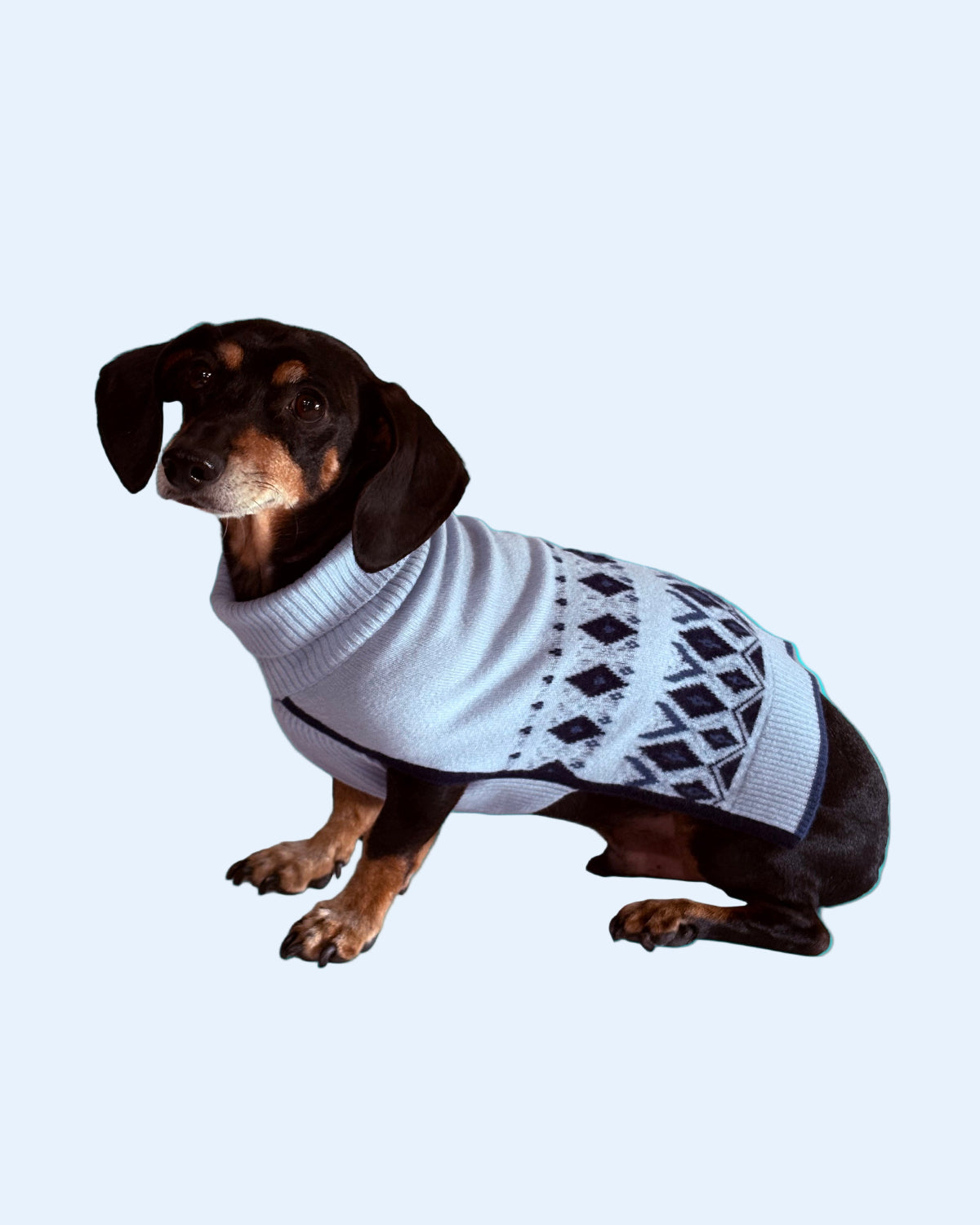 Dog wearing a white sweater with black patterns on a light gray background