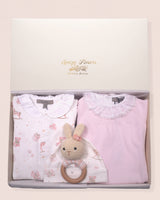 Anastasia Pink Toys Bundle