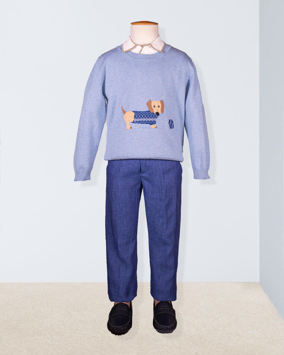 Dachshund Sky Blue Cotton Sweater Oliver Outfit