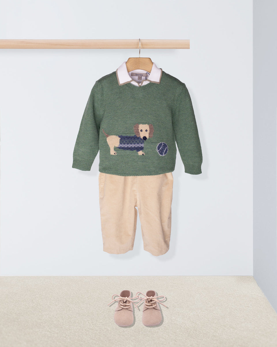 Dachshund Mist Green James Outfit