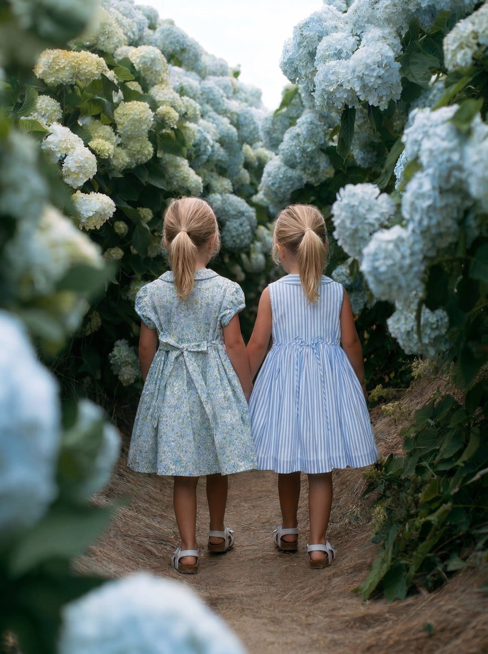 Summer Shades of Blue