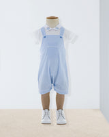Regatta Baby Blue Pinstripe Shortall