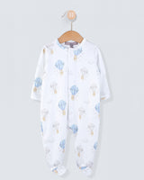 Pima Air Balloons Collection