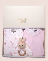 Anastasia Pink Toys Bundle