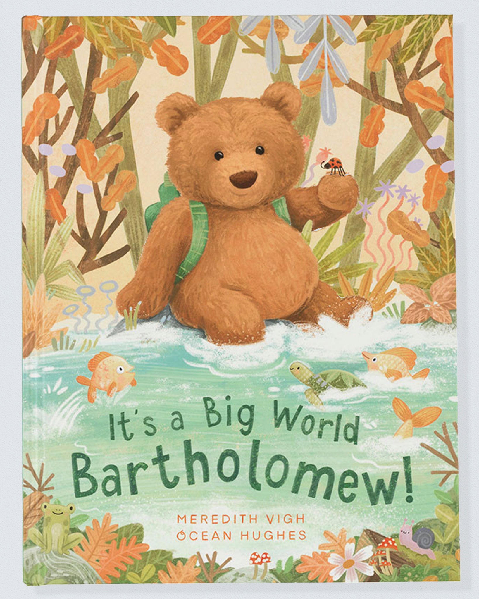 It's a Big World Bear Book - Book