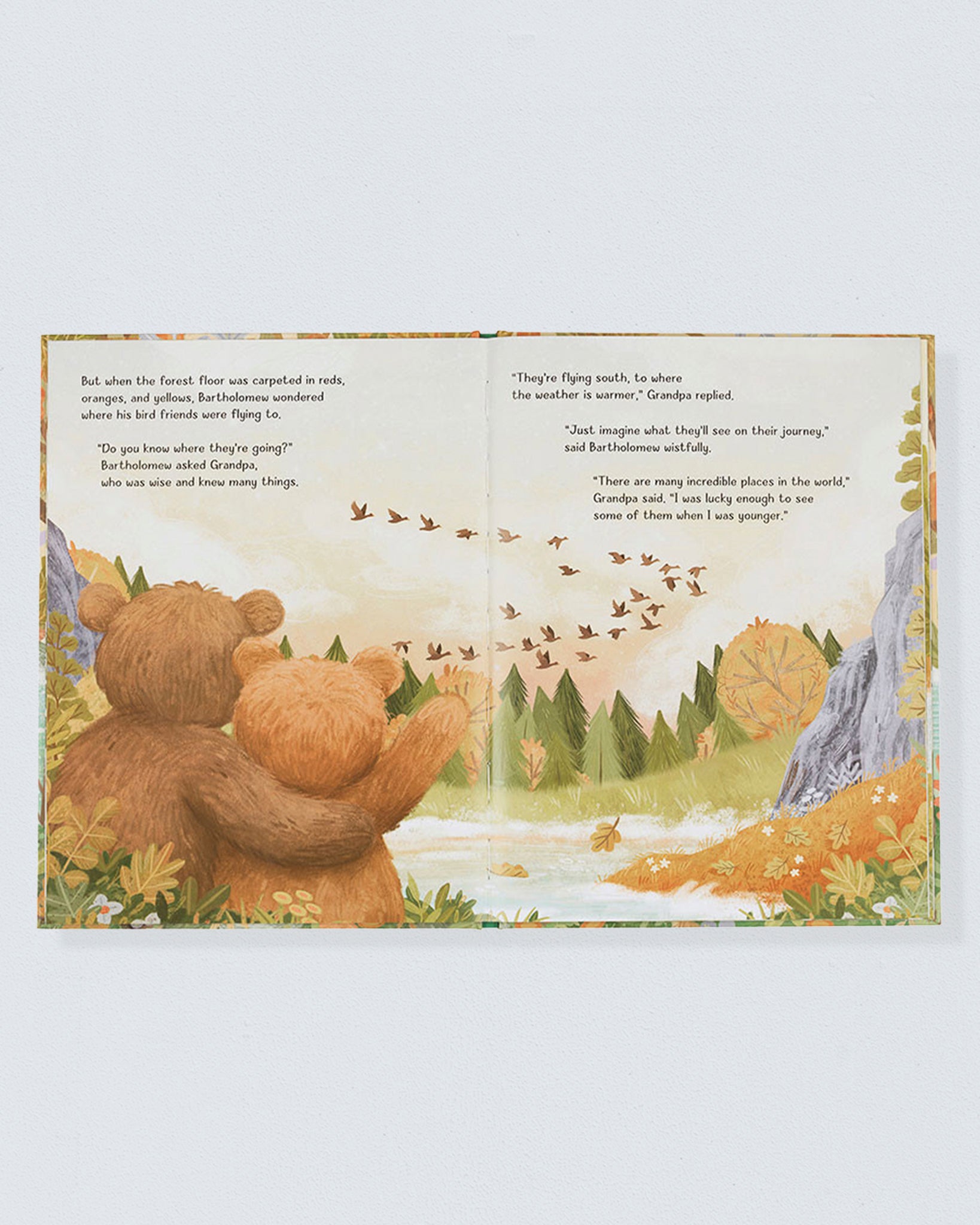 It's a Big World Bear Book - Book