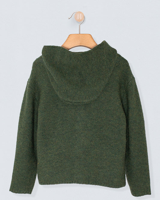 Benjamin Dinosaur Hunter Hooded Sweater - Sweater