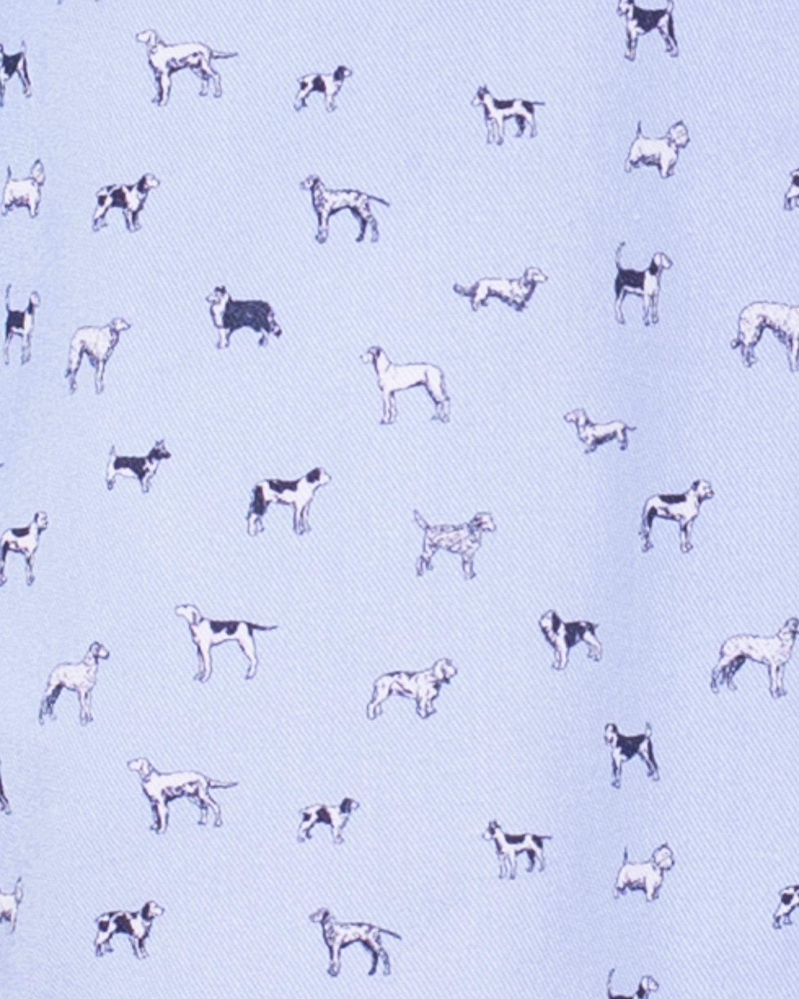 Bernard Liberty Man's Best Friend Blue Shirt - Shirt