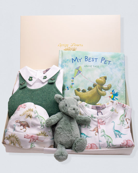 Dinosaur Adventure Gift Bundle - 