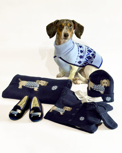 dog in light blue sweater surrounded by navy blue sweater, slippers and hat for kids