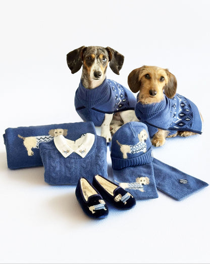 Two dogs wearing blue sweaters with matching accessories on a white background