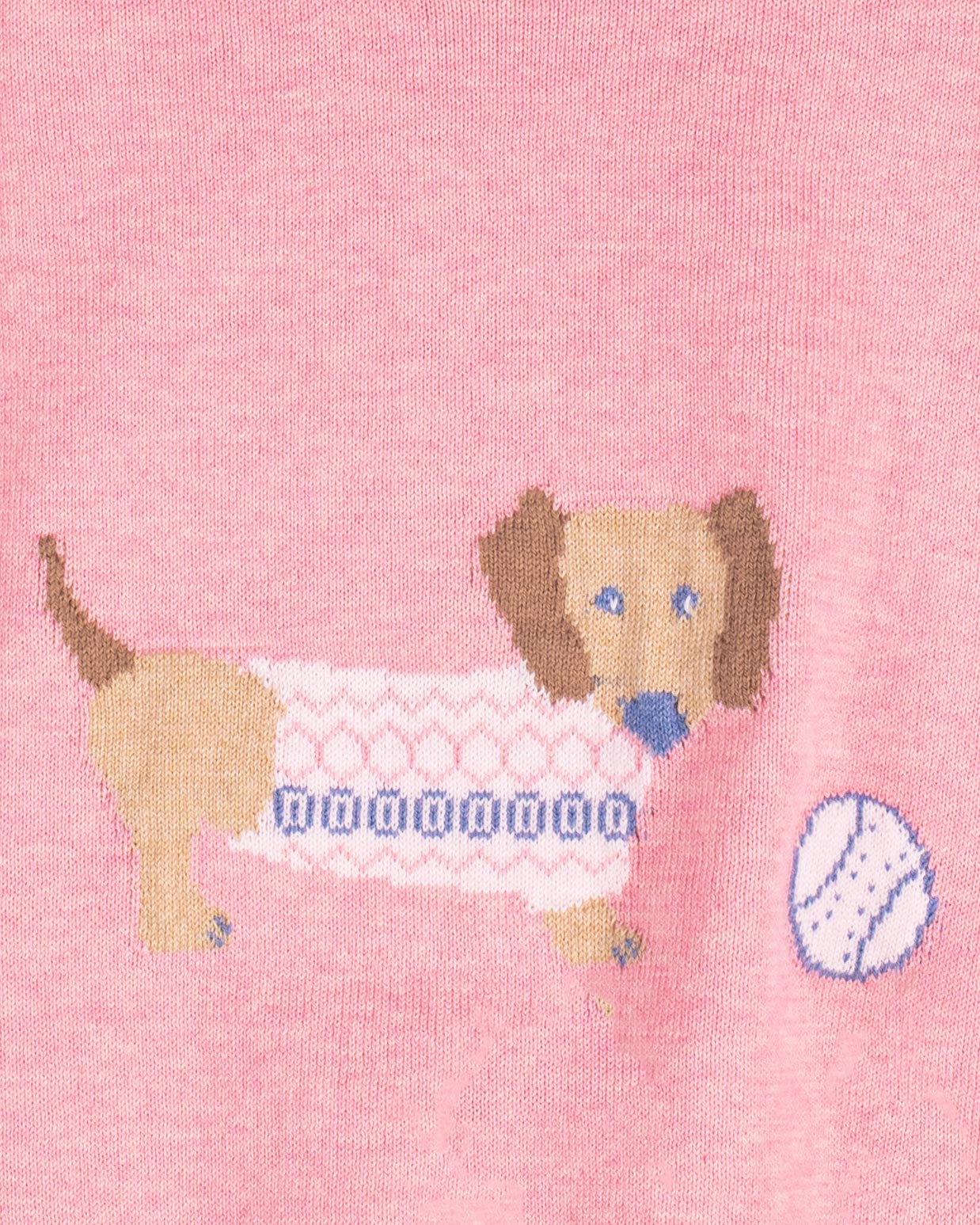 Dachshund Candy Melange Cotton Crew - Sweater