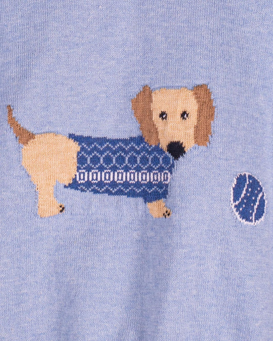Dachshund Sky Blue Cotton Sweater - Sweater