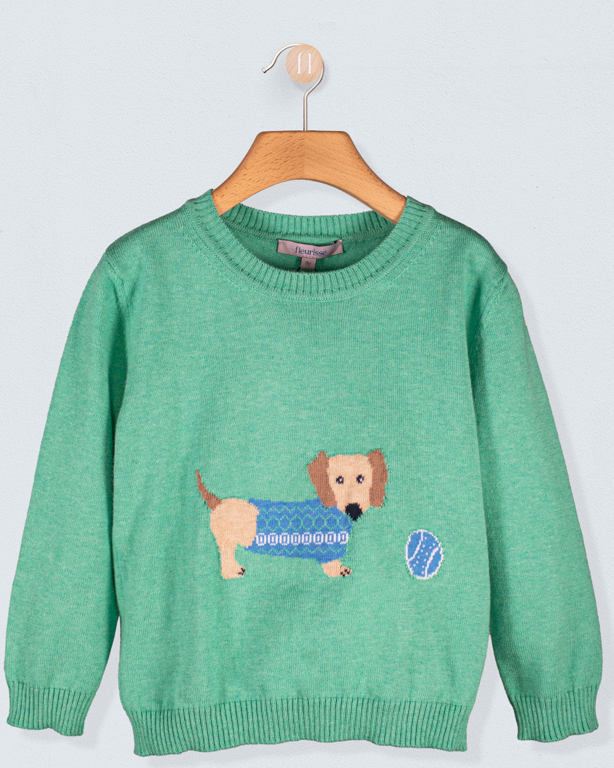 Dachshund Seafoam Green Cotton Sweater - Sweater