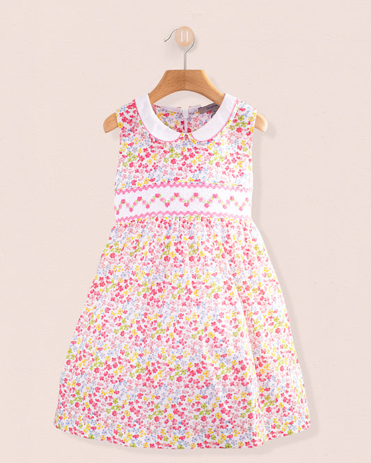 Daisy Multicolor Smock - Smocked Dress