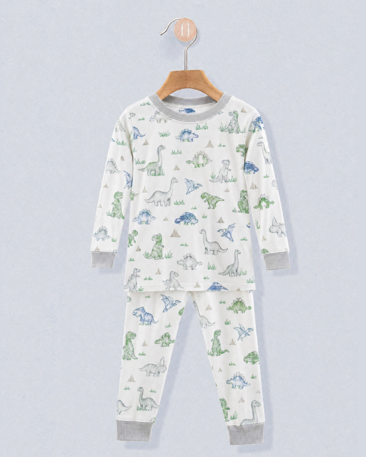 Pima Cute Roar Dinosaur 2-Piece Pajama