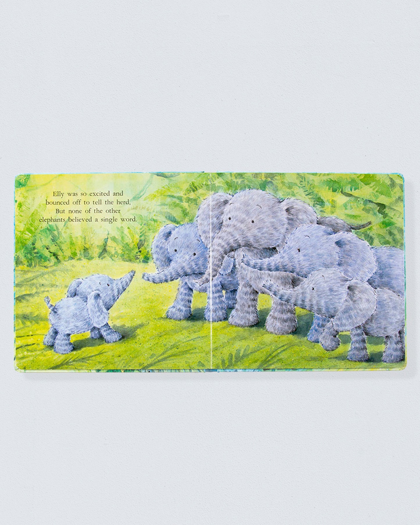 Elephants Can't Fly Book - Book