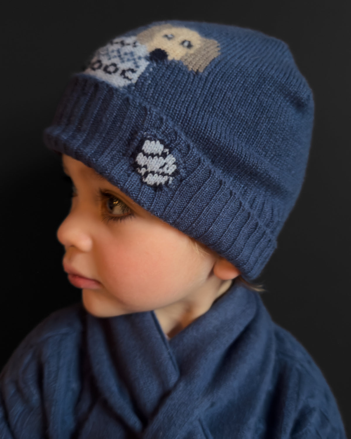 Child wearing a blue knitted hat with a dog design on a dark background