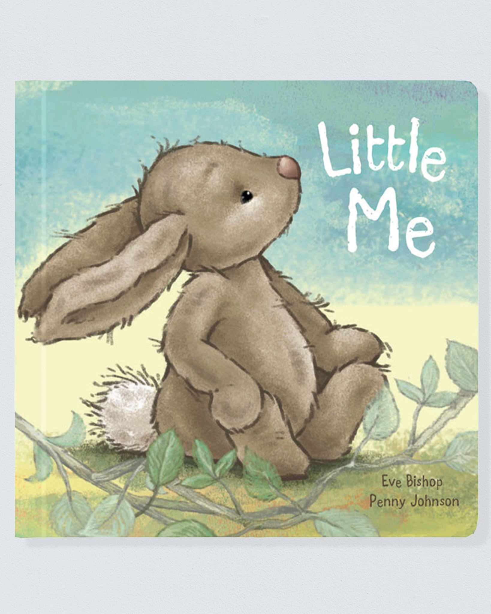 Little Me Book - Book