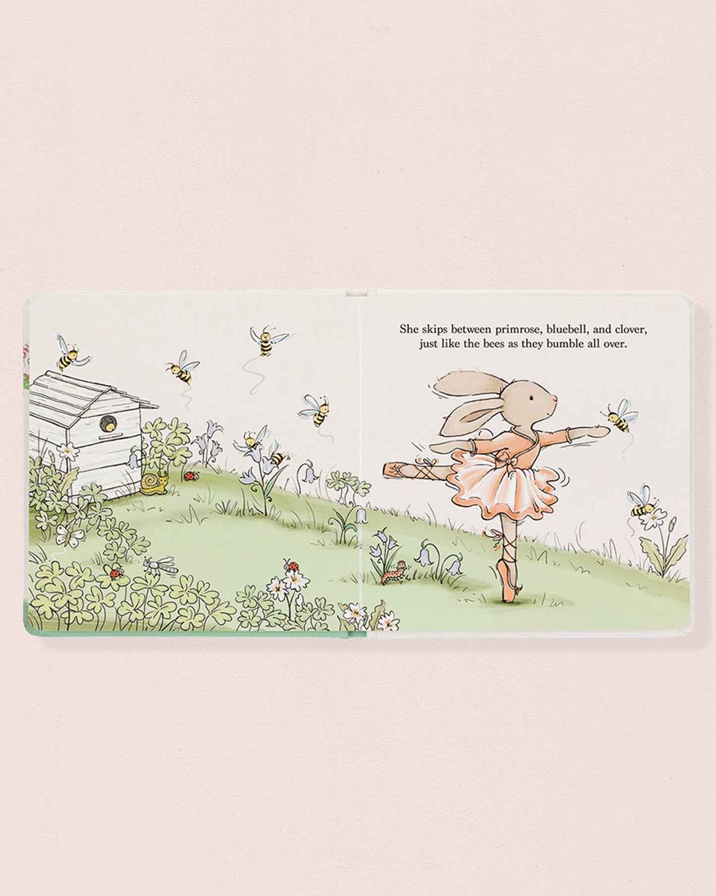 Lottie Fairy Bunny Book - Book