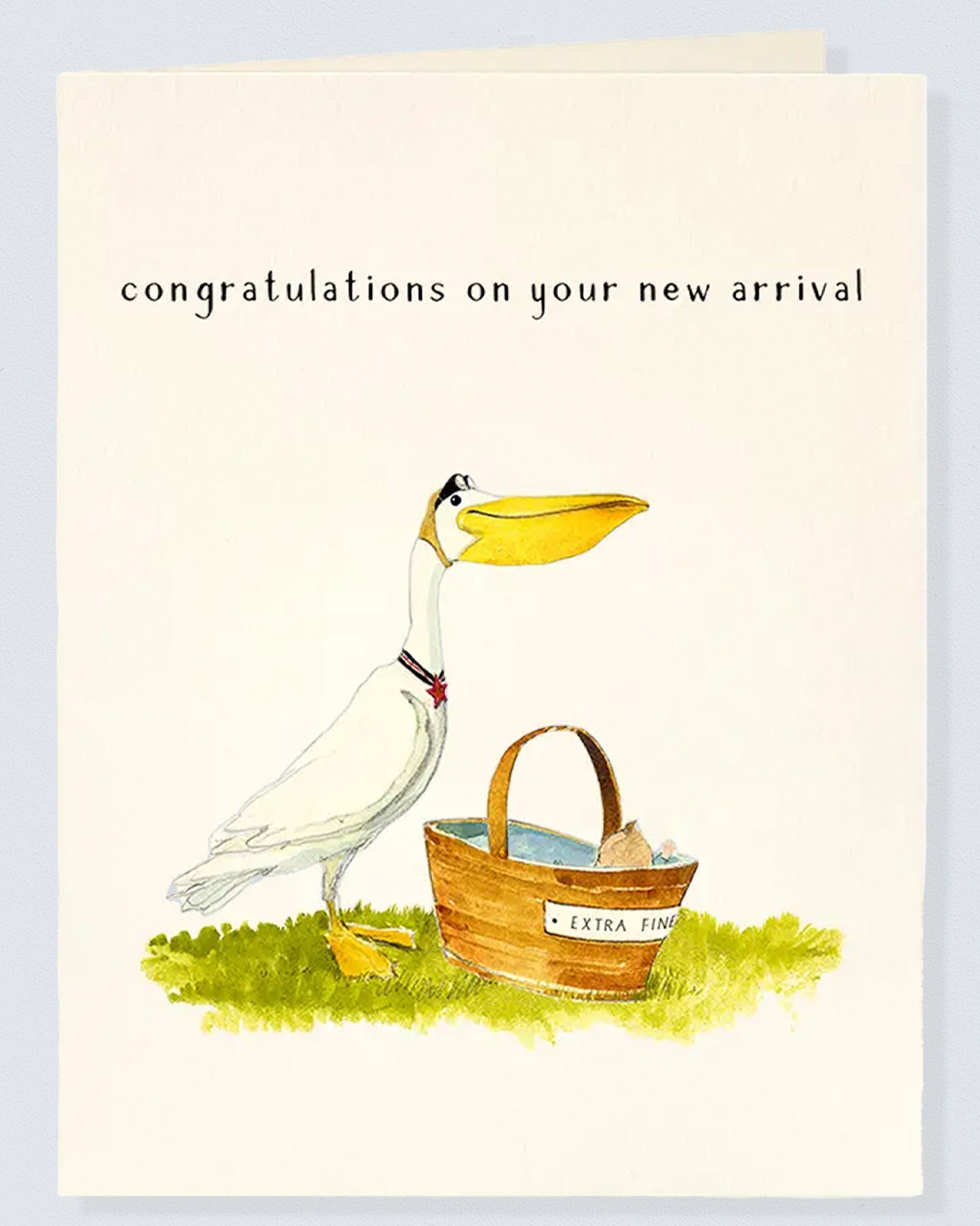 Stork Delivery Gift Card - Card