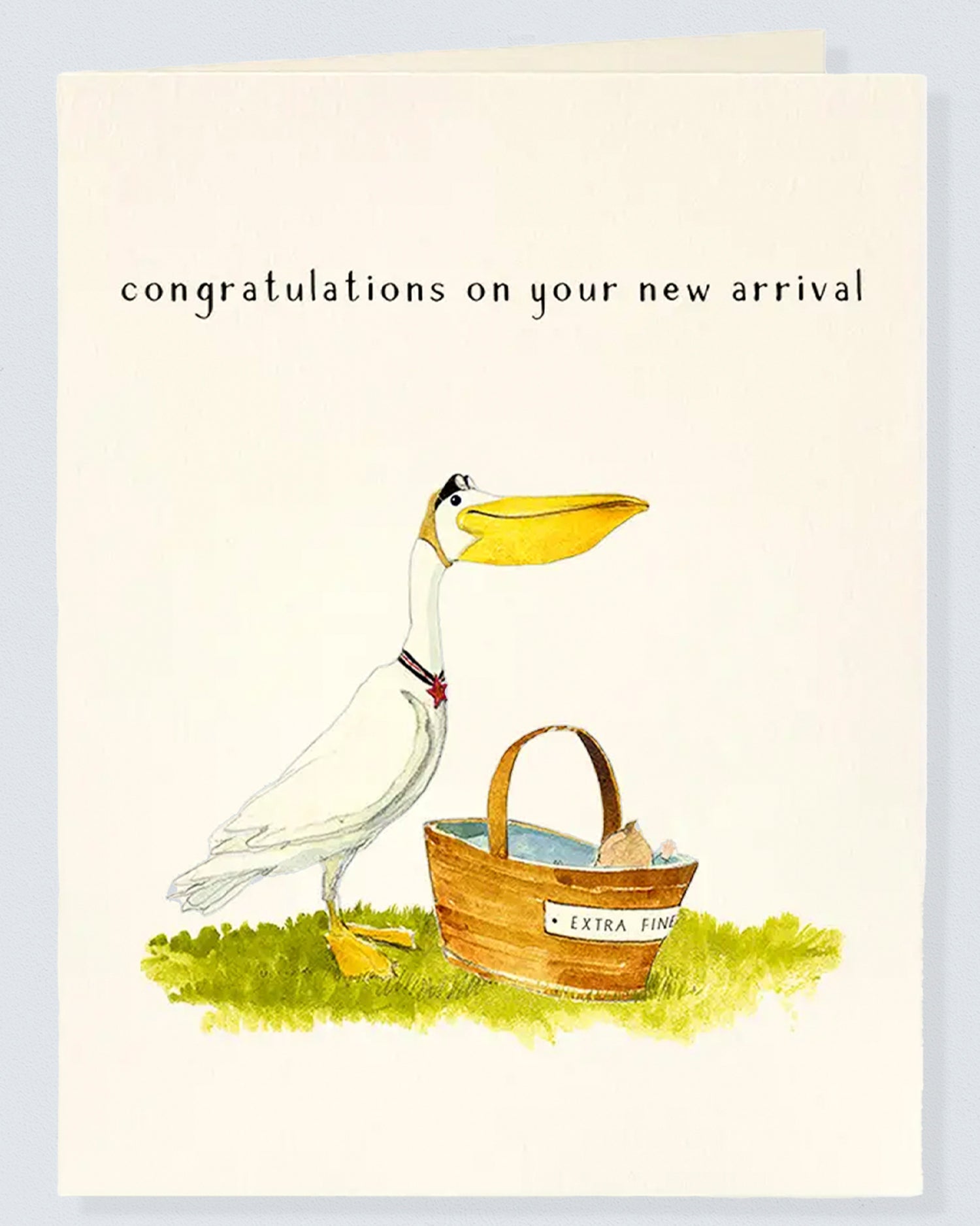 Stork Delivery Gift Card
