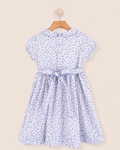 Back view of Amanda Campari dress showing fabric-covered buttons and matching sash