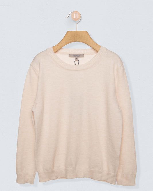 oatmeal colored crewneck sweatshirt against a light grey background