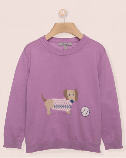 purple sweater with dog wearing a criss-cross design sweater in front of a baseball