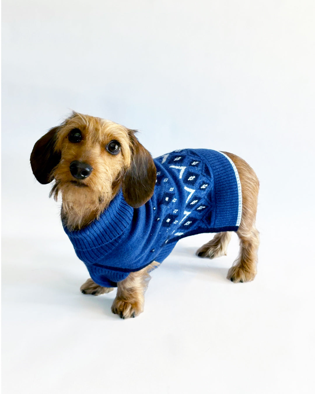 wearing blue sweater