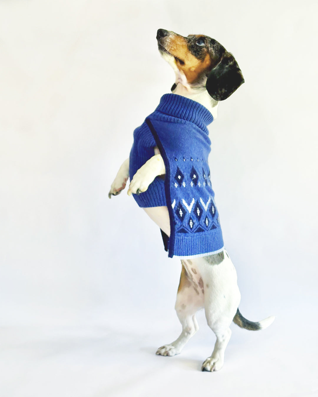 The Pup Cashmere Ocean Jacquard Sweater