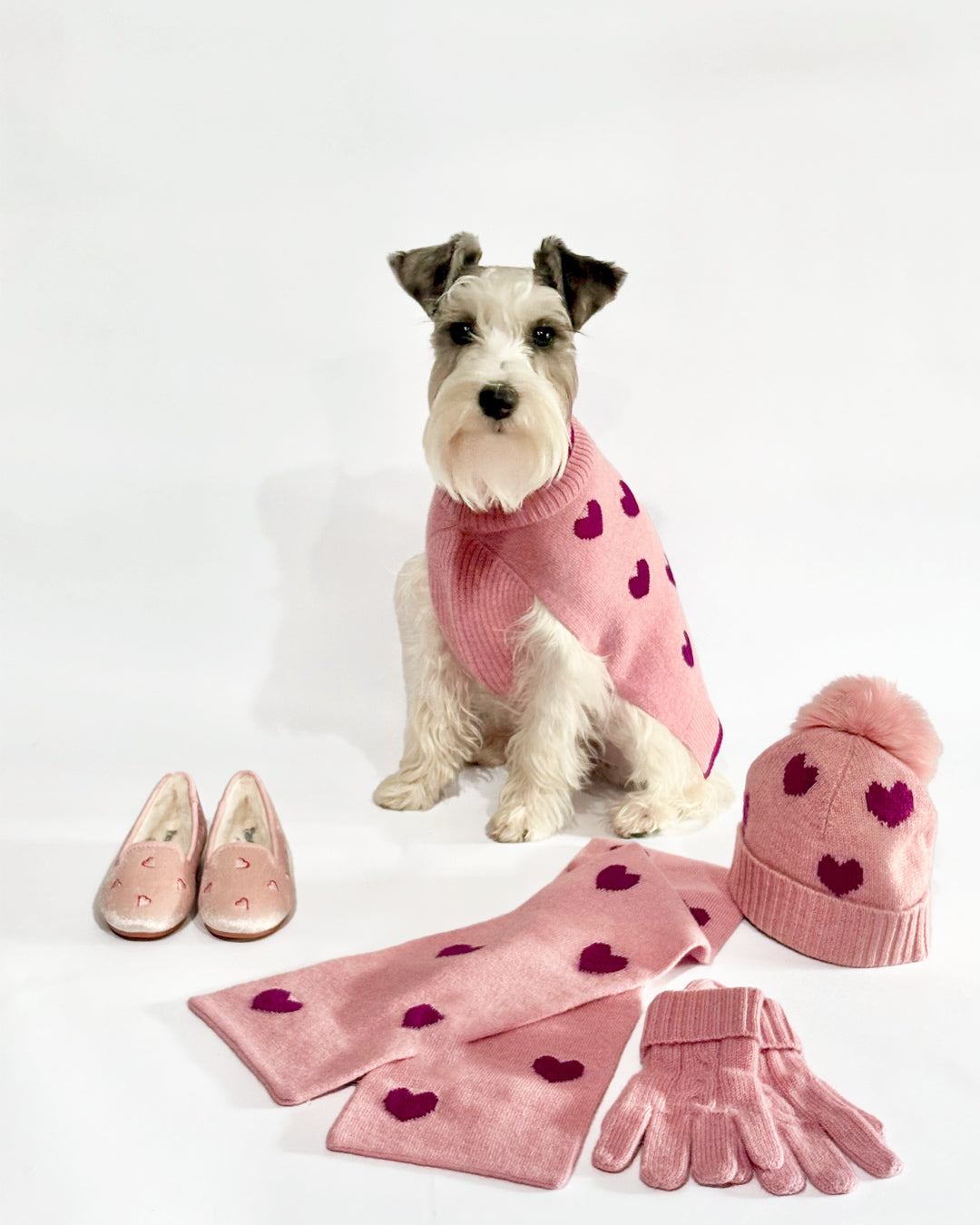 Dog wearing a pink sweater with heart patterns, surrounded by matching pink accessories on a white background