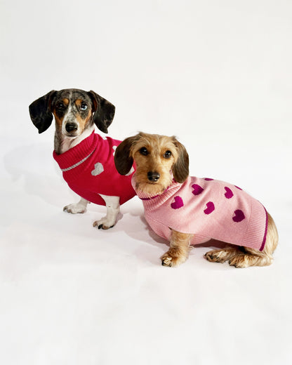 Two small dogs wearing red and pink sweaters with heart patterns on a white background