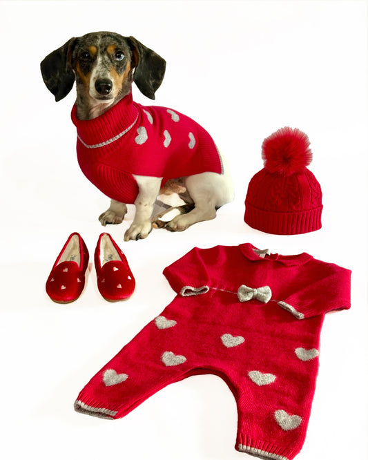 Dog wearing a red sweater with heart patterns, surrounded by matching red shoes and a hat on a white background.