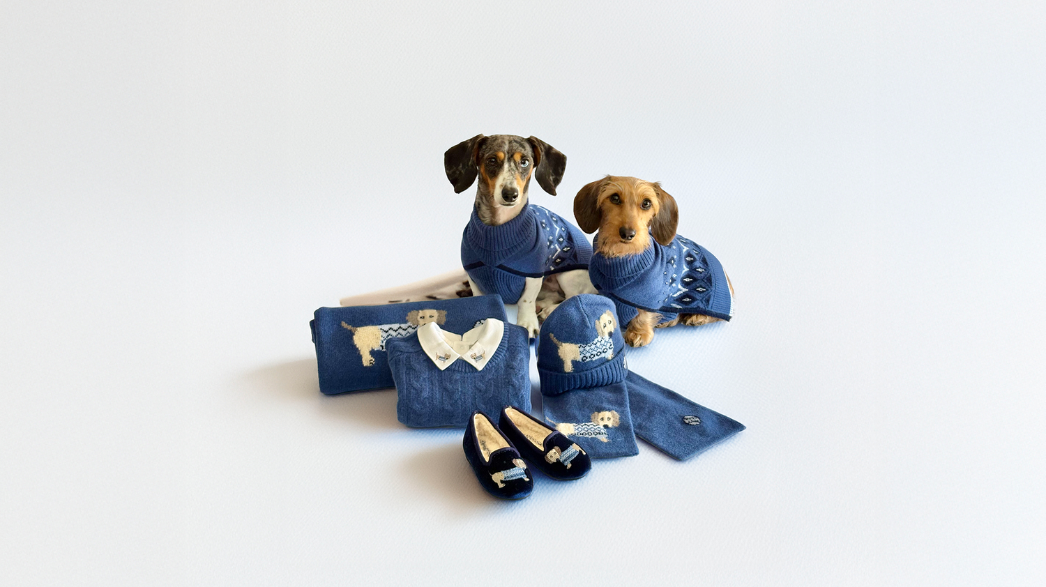 Two dogs wearing denim outfits with accessories on a white background