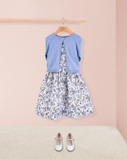 Biaritz French Blue Rosebush - Dress