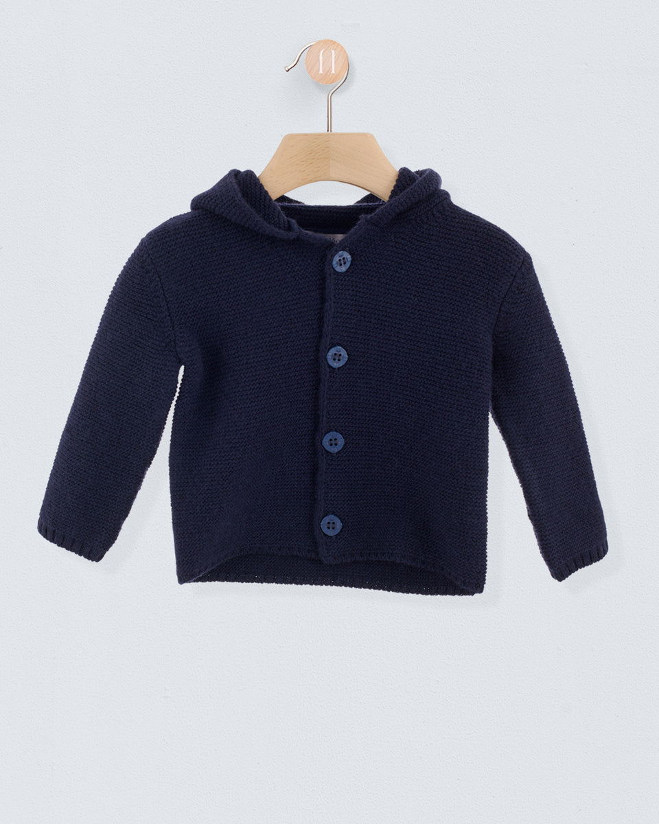 Benjamin Navy Hooded Sweater