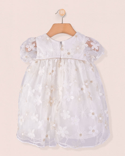 Back view of Baby Isodora Cream Tulle Dress with embroidered mesh overlay, zipper closure, and gathered waist, hung on a wooden hanger.