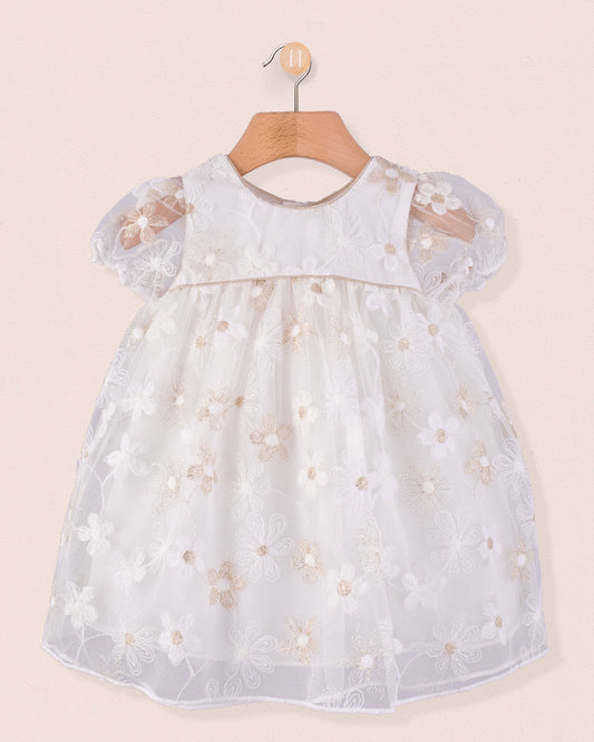 Front view of Baby Isodora Embroidered Cream Tulle Dress featuring short puff sleeves, delicate floral embroidery, and soft mesh overlay, displayed on wooden hanger.