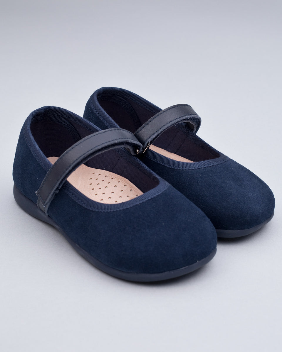 Lauren Navy Suede Shoe