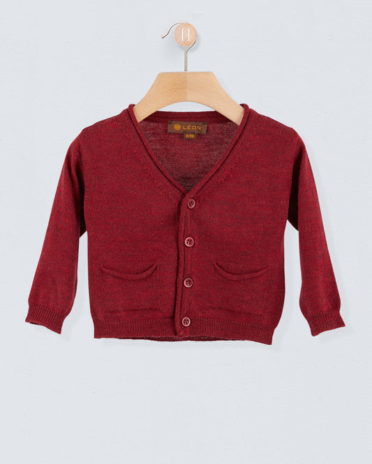 Peter Birchwood Wool Cardigan - Sweater