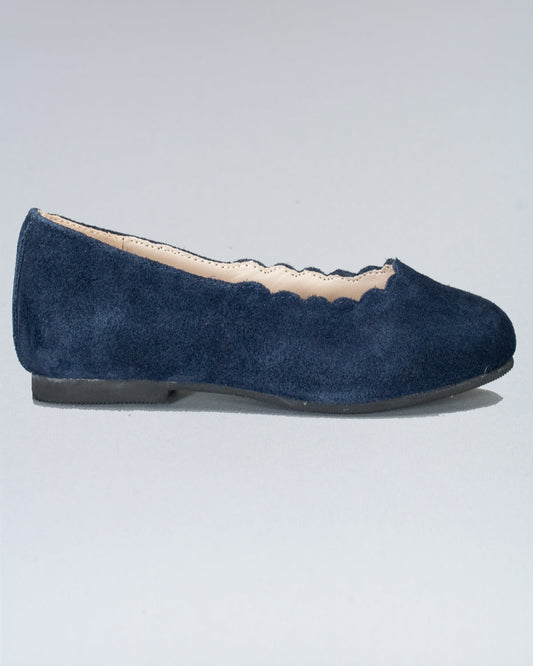 Scarlette Navy Suede Scalloped Ballerina - Shoe