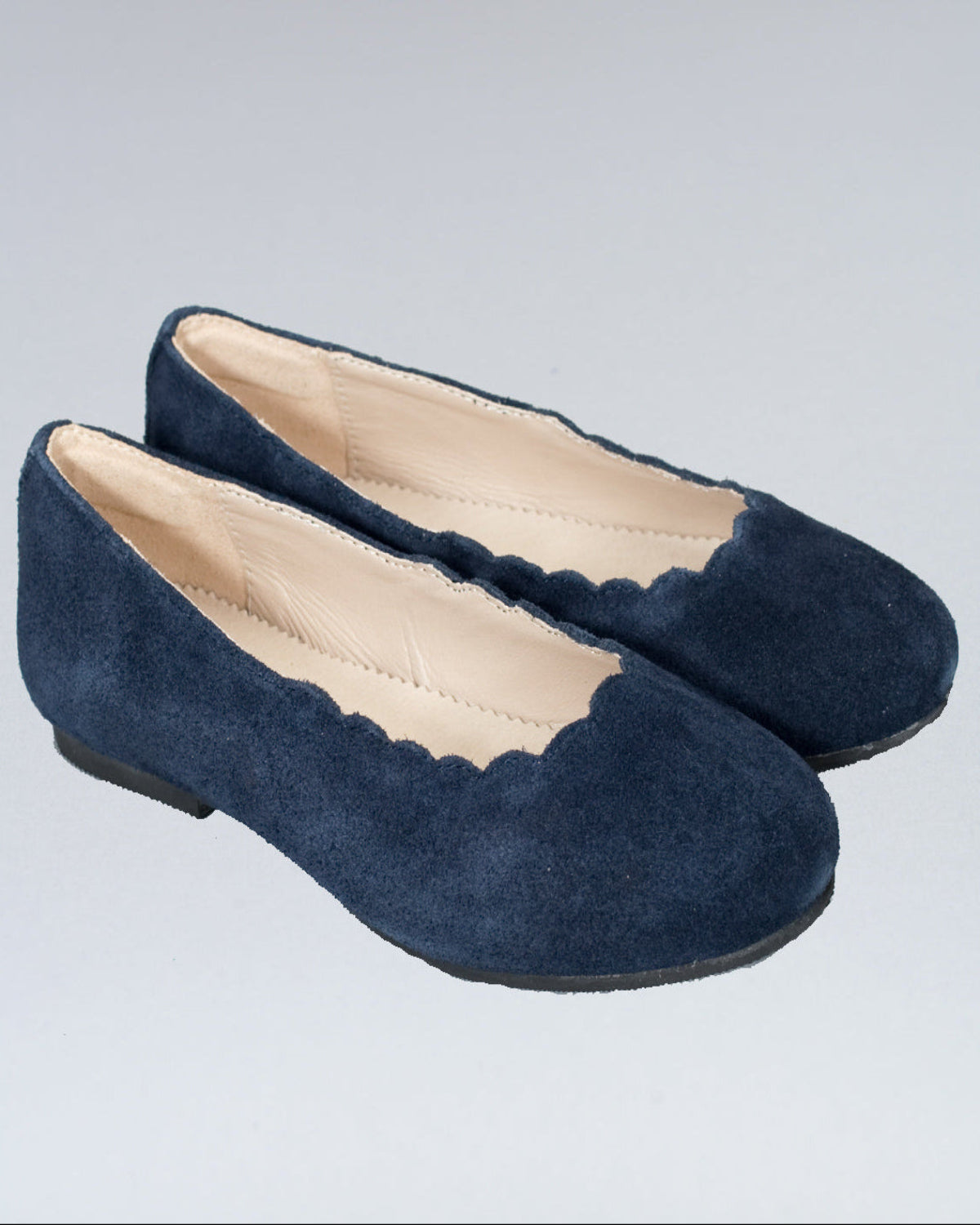 Scarlette Navy Suede Scalloped Ballerina - Shoe